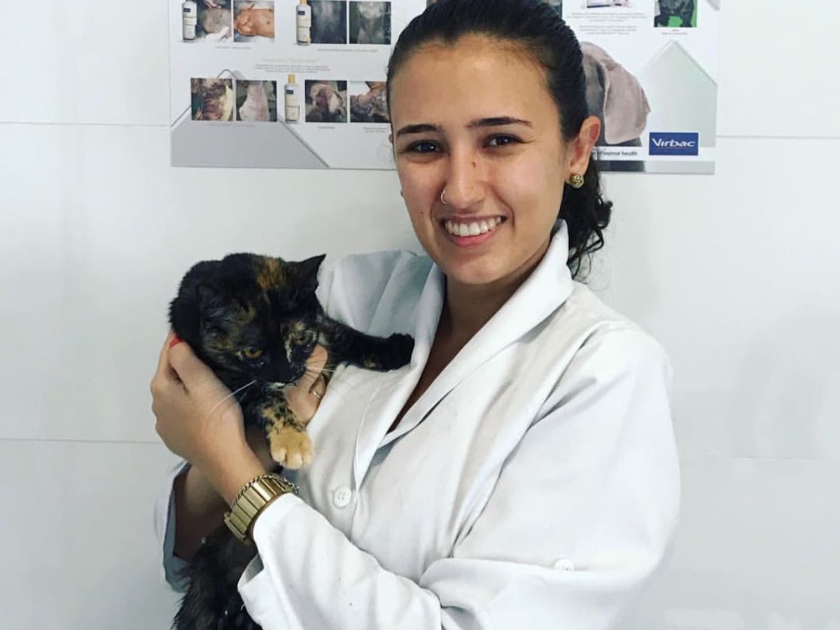 Perola Negra Pet Shop - PLANTÃO 24H em Florianópolis — foto 3