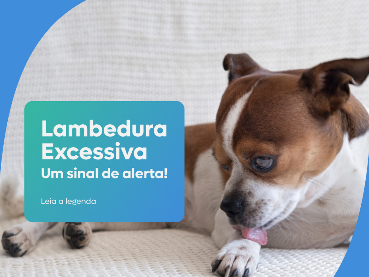 Foto da Pet Friends Clínica Veterinária Campeche - Banho e Tosa