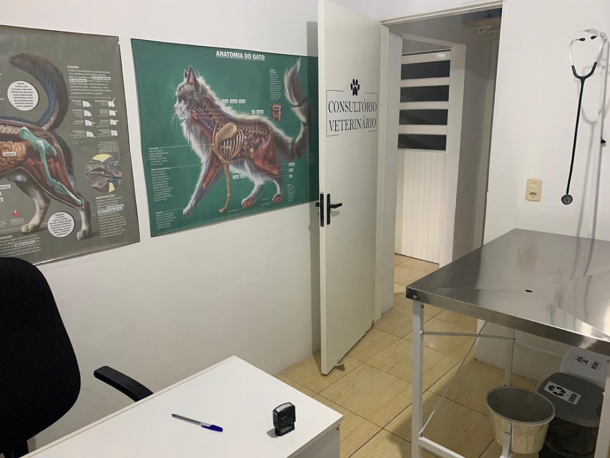 Pet Friends Clínica Veterinária Campeche - Banho e Tosa em Florianópolis — foto 2