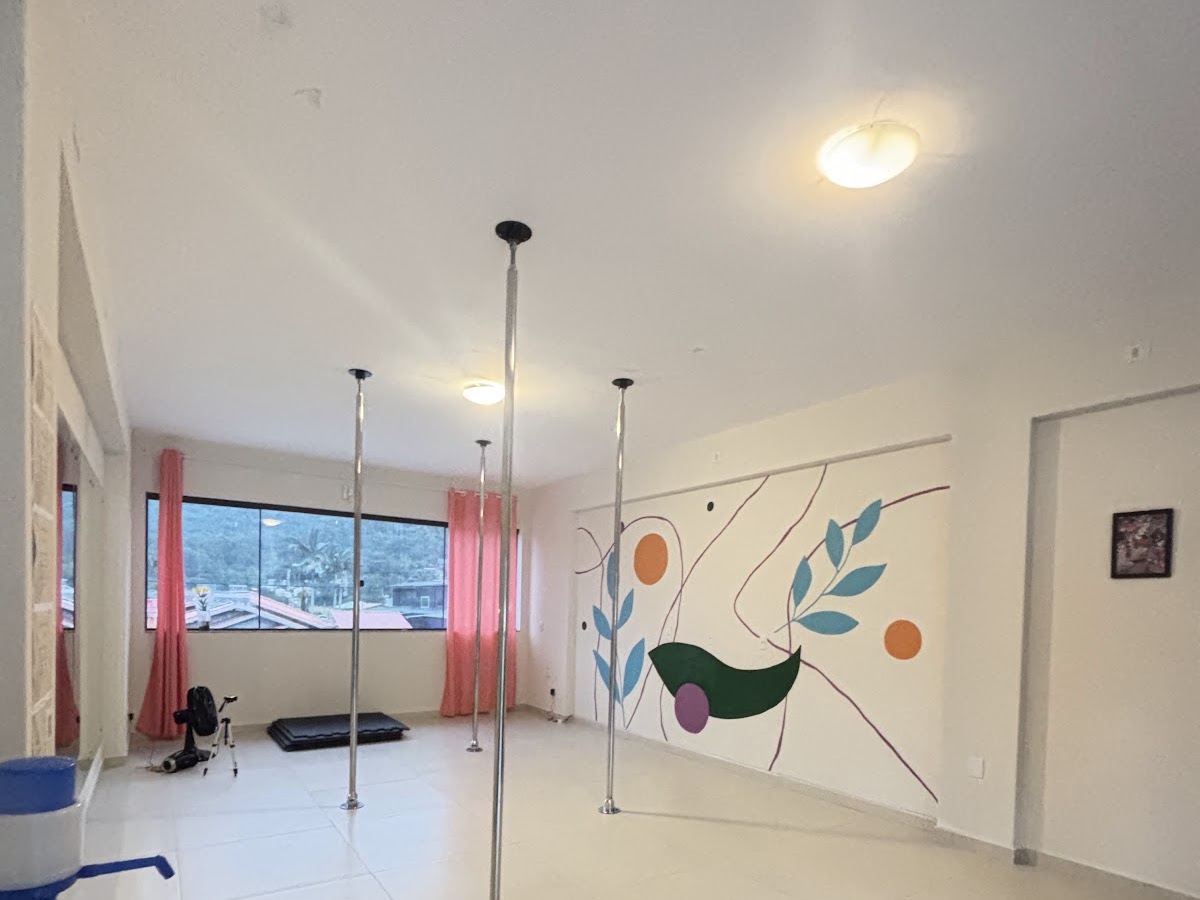 Pole Ateliê | pole dance em Florianópolis — foto 1