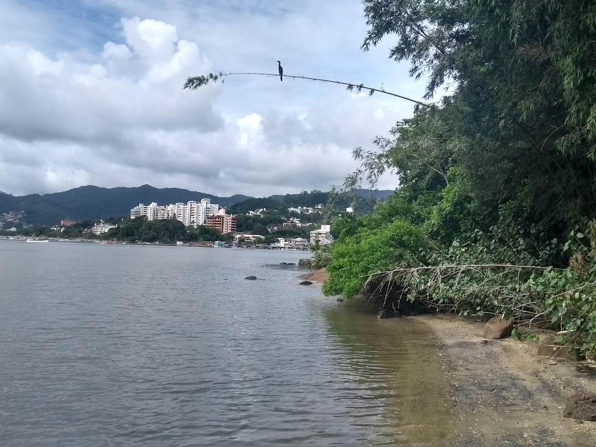 Ponta do Goulart em Florianópolis — foto 2