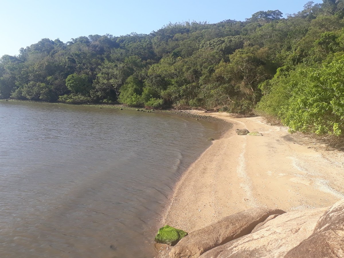 Ponta do Goulart em Florianópolis — foto 3