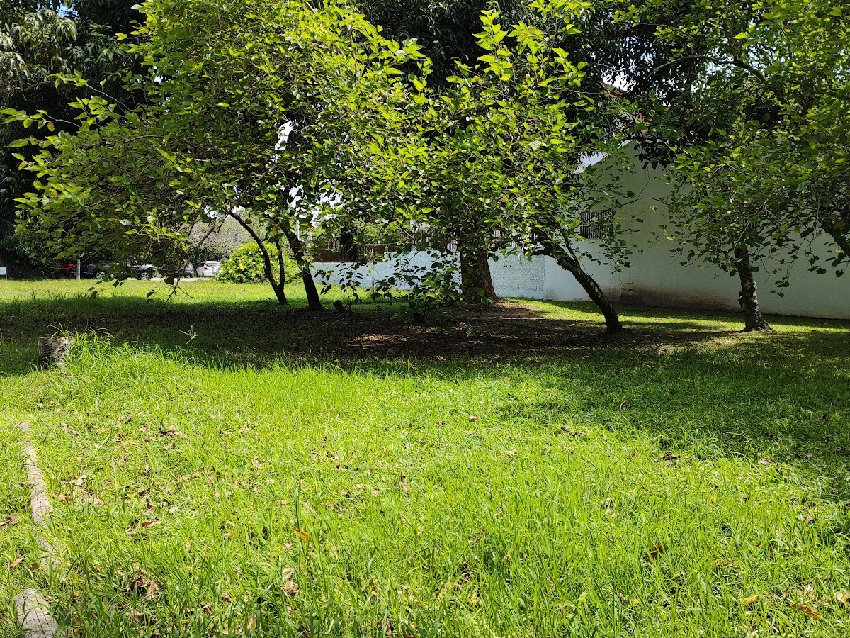 Praça da Saúde em Florianópolis — foto 3