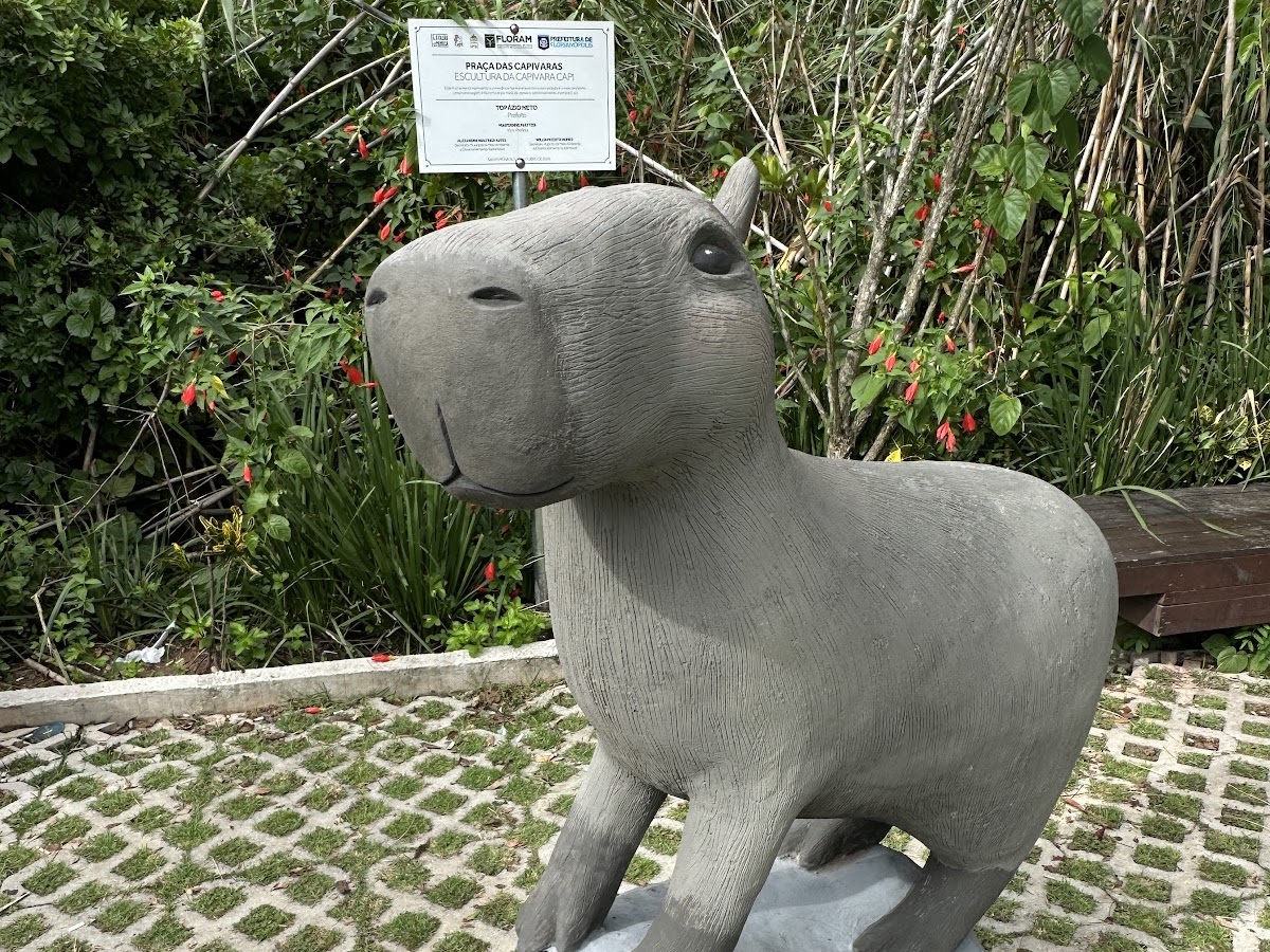 Praça das capivaras em Florianópolis — foto 3