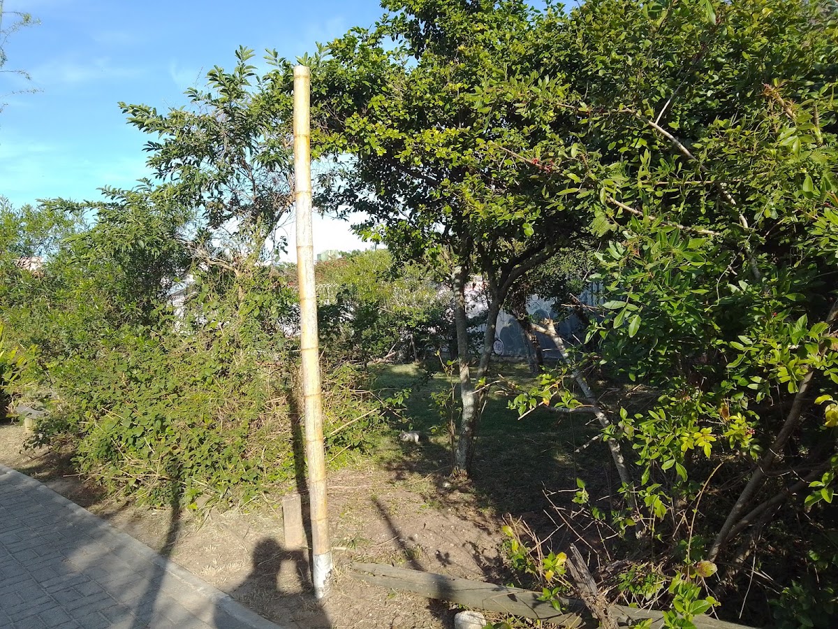 Praça Felipe Manoel Sabino em Florianópolis — foto 4