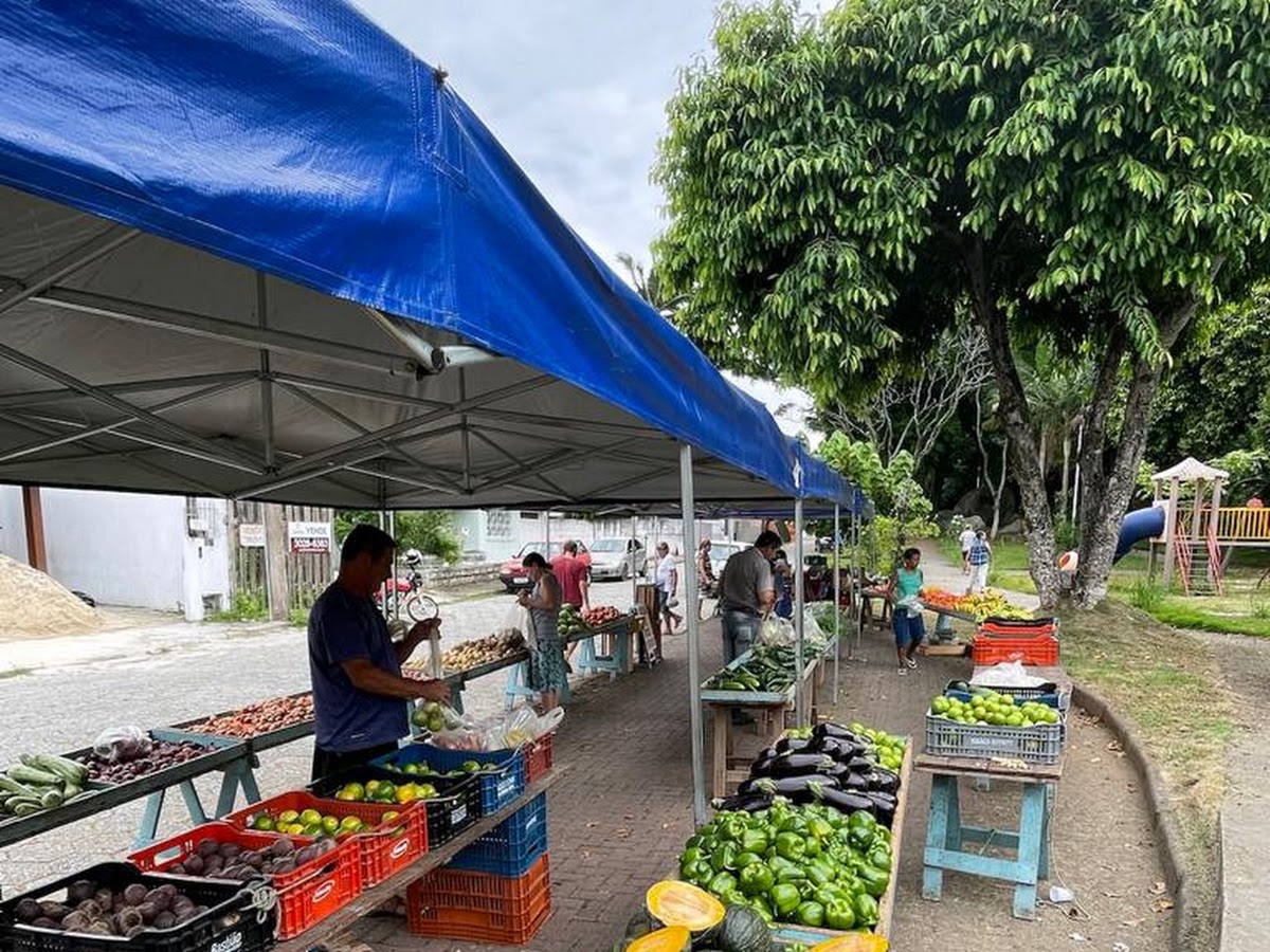 Praça João Demaria Cavallazzi em Florianópolis — foto 1