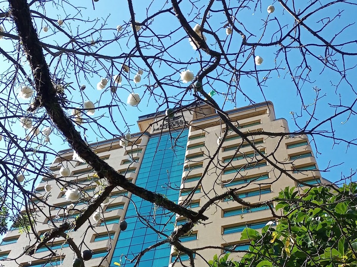 Praça Lauro Muller em Florianópolis — foto 4