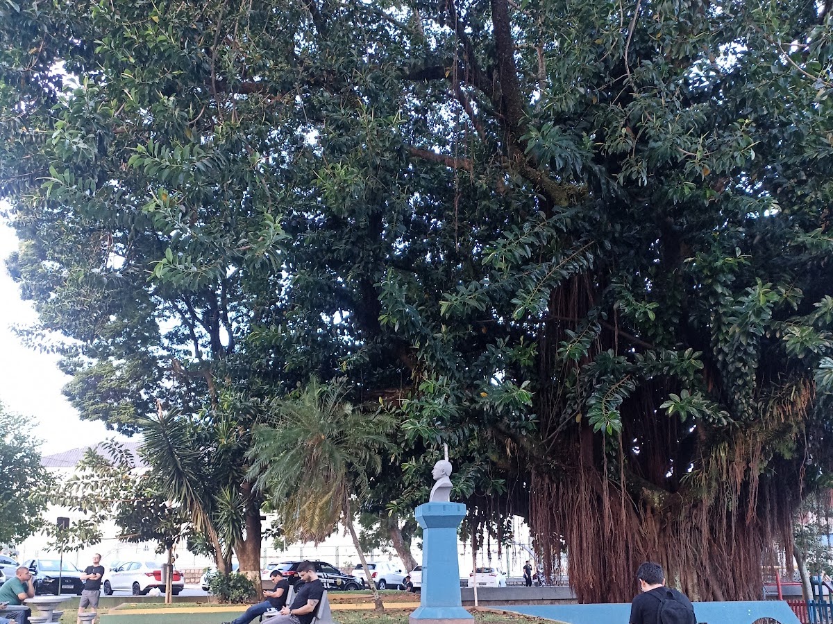 Praça Nagib Jabour em Florianópolis — foto 1