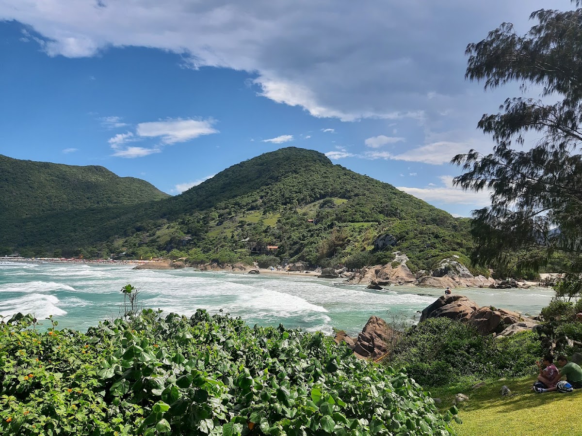 Praia da Armação em Florianópolis — foto 1