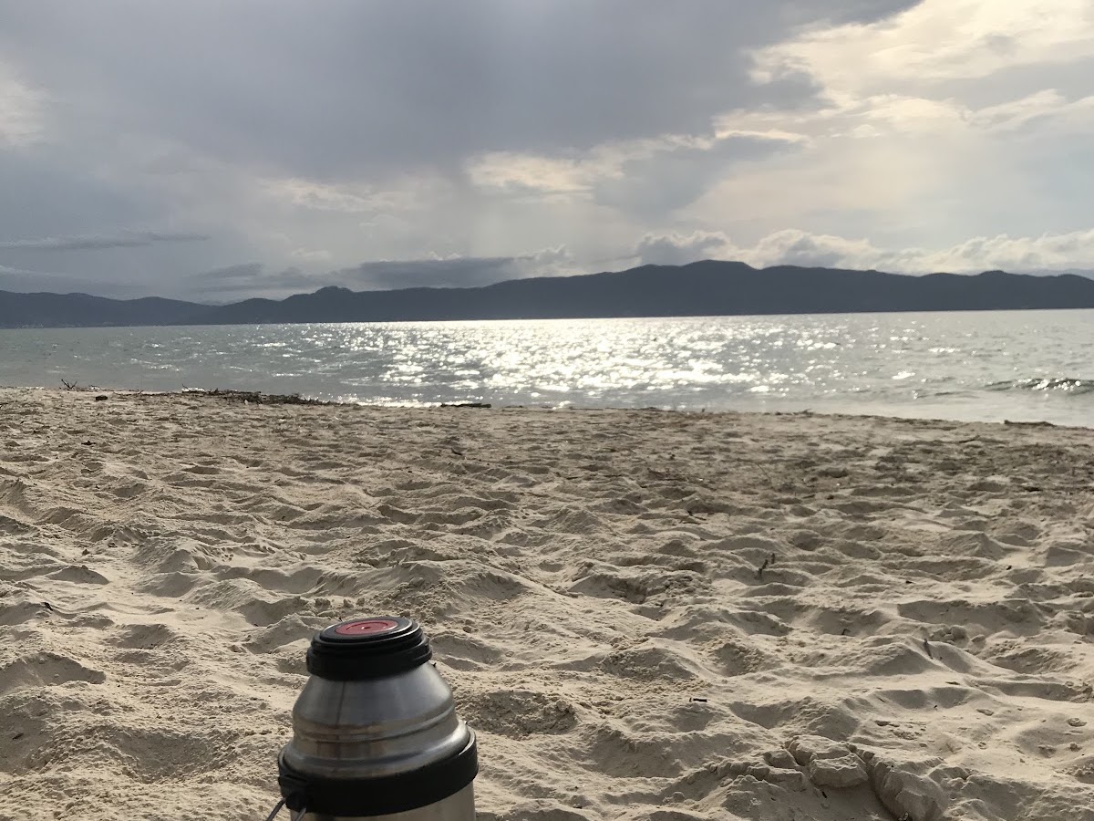 Praia da Daniela Imóveis - Fábio Antunes Maciel CRECI 6103J em Florianópolis — foto 2
