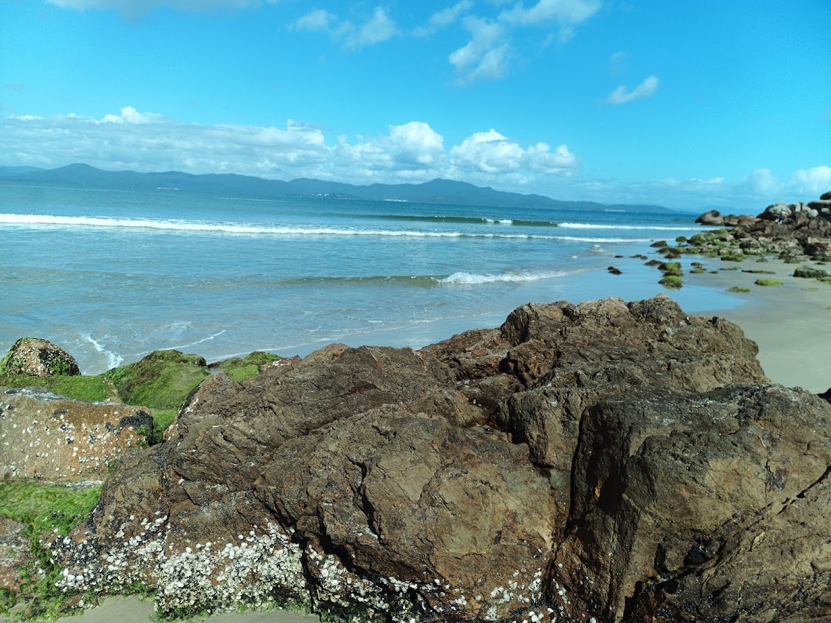 Praia ponta das canas em Florianópolis — foto 3