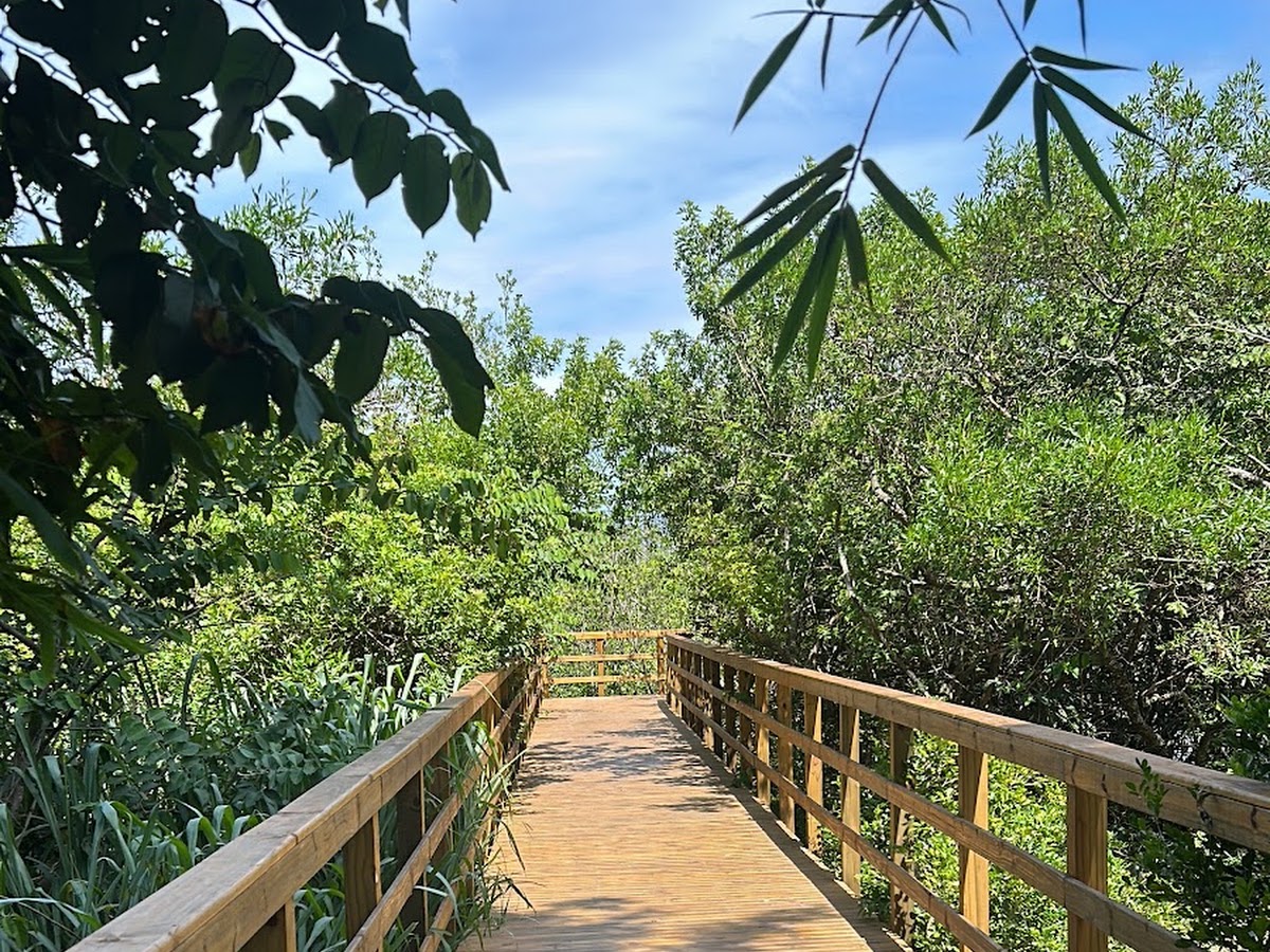 Praia ponta das canas em Florianópolis — foto 4