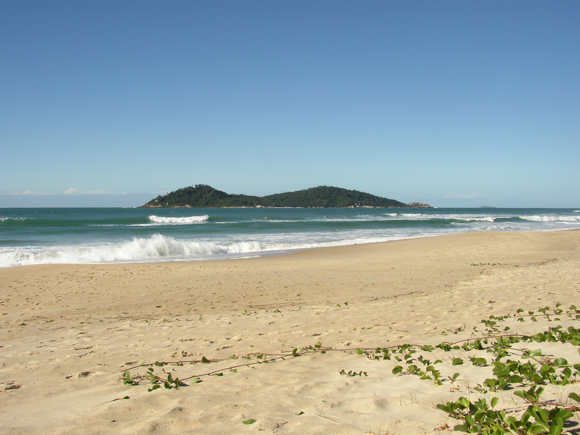 Campeche em Florianópolis — foto 3
