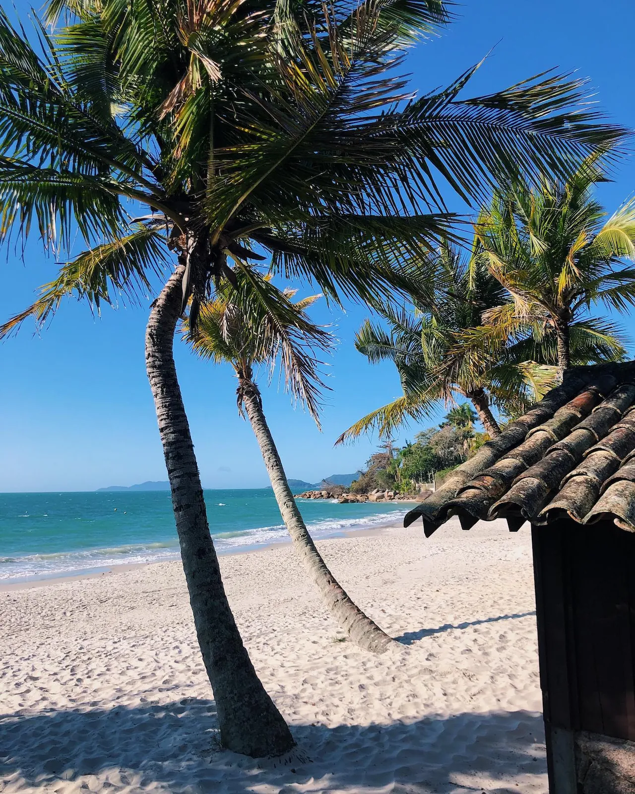 Canajurê em Florianópolis — foto 5