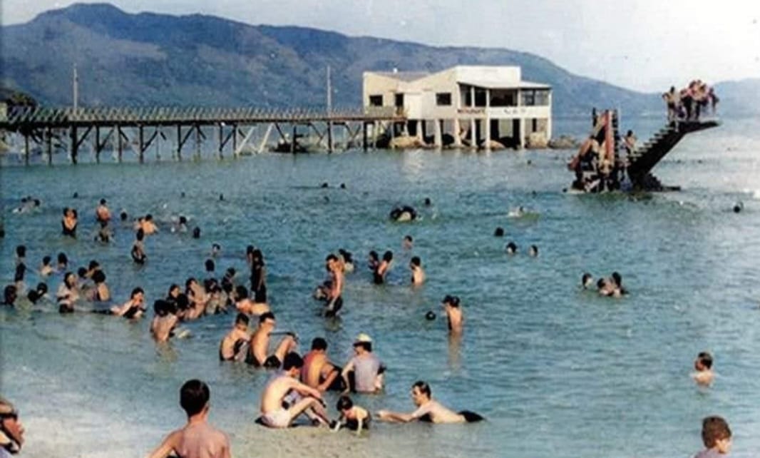 Coqueiros em Florianópolis — foto 1