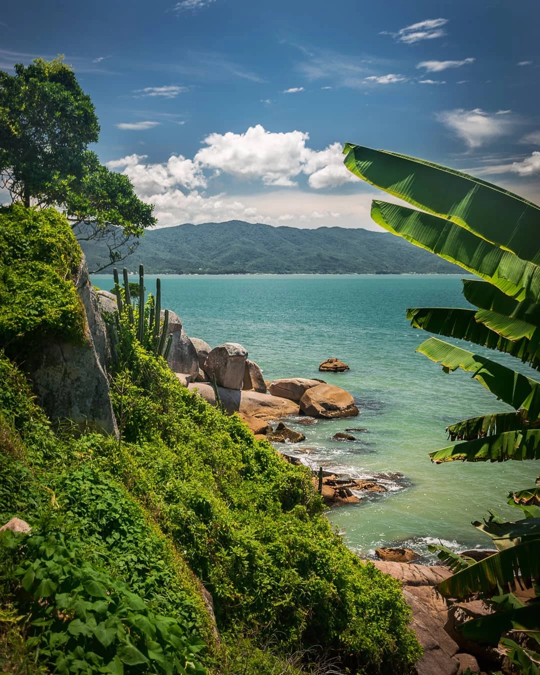 Daniela em Florianópolis — foto 6