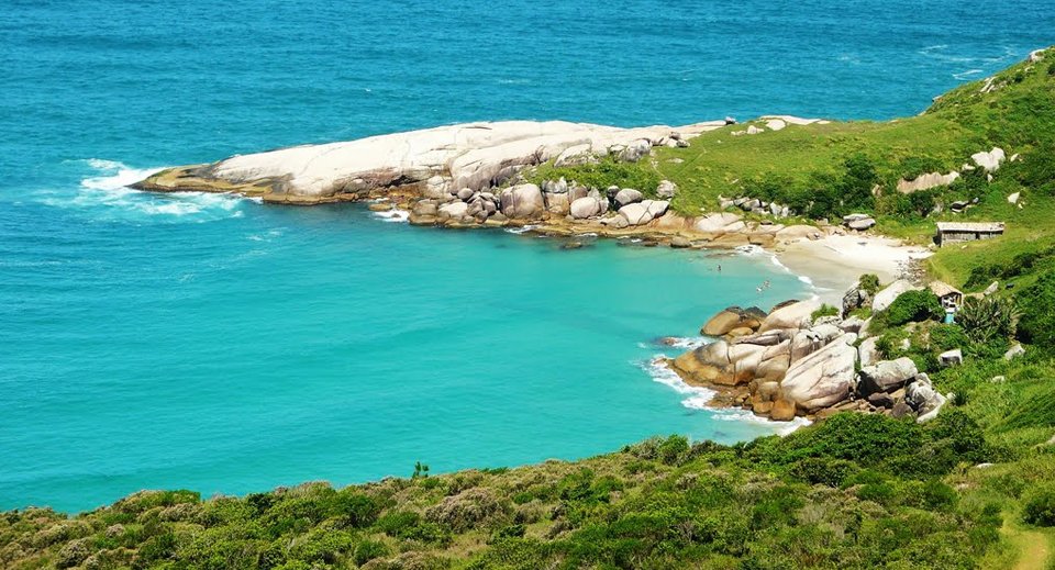 Gravatá em Florianópolis — foto 1