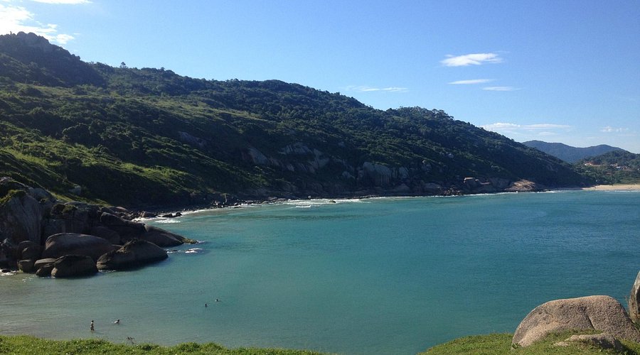 Gravatá em Florianópolis — foto 2