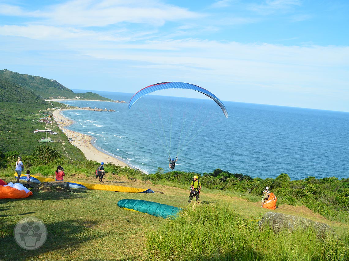 Gravatá em Florianópolis — foto 3
