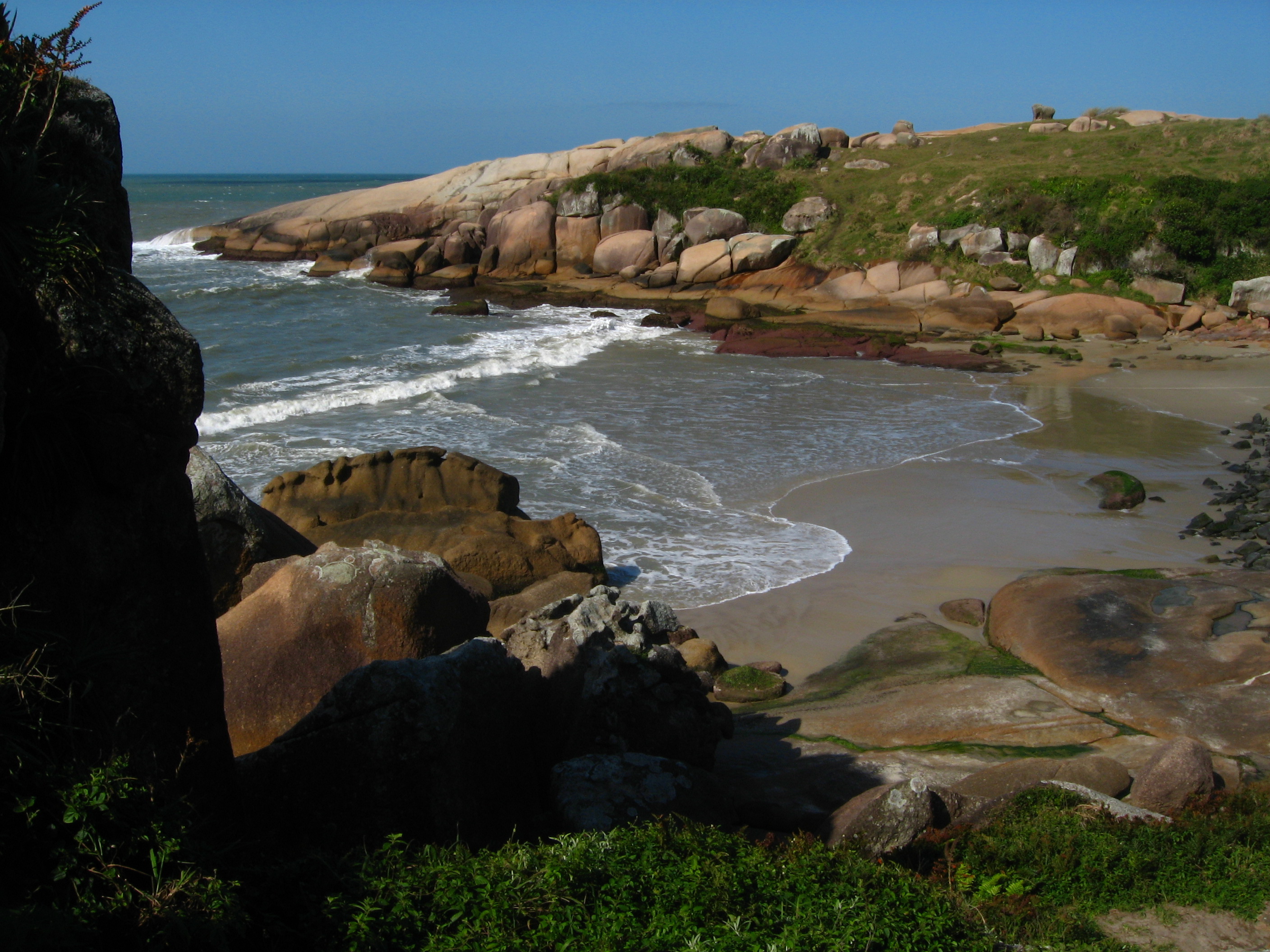 Gravatá em Florianópolis — foto 4