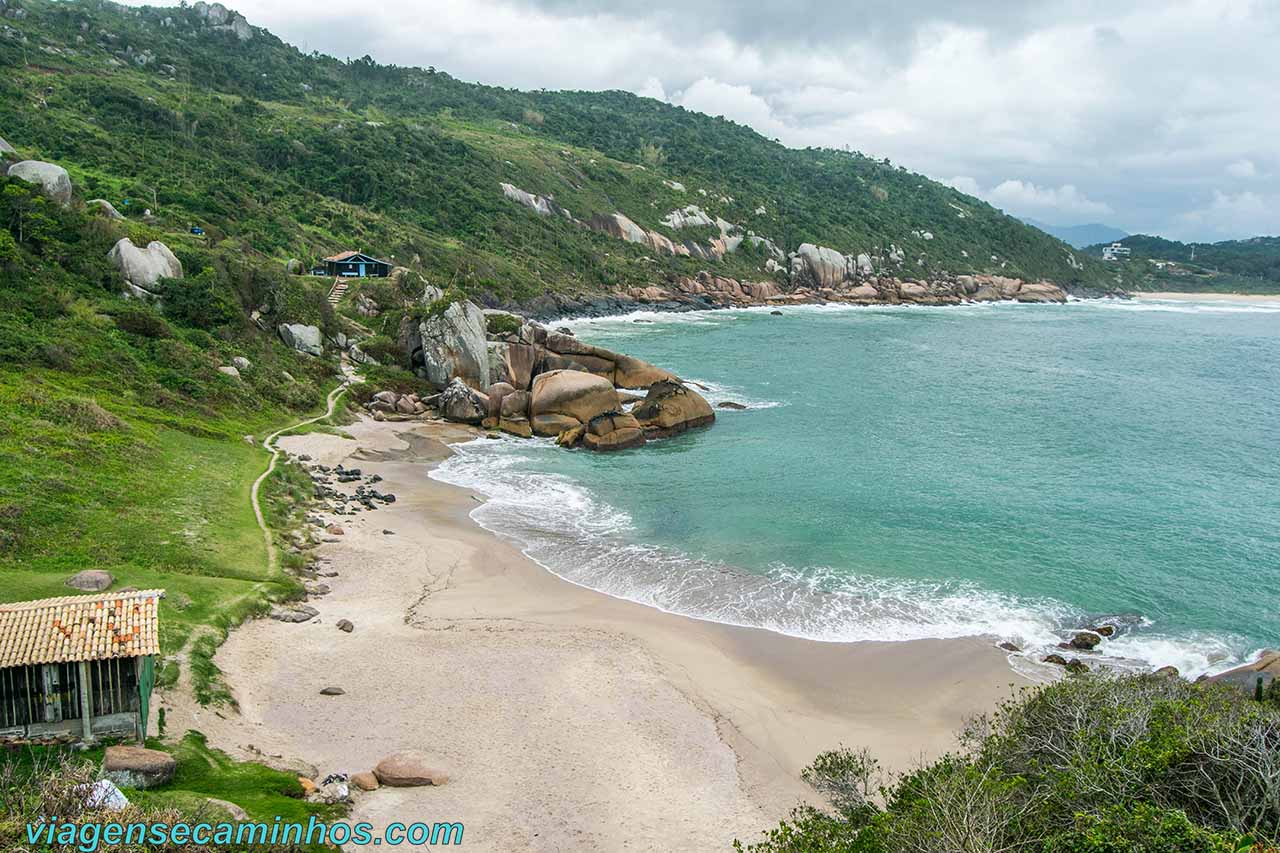 Gravatá em Florianópolis — foto 5