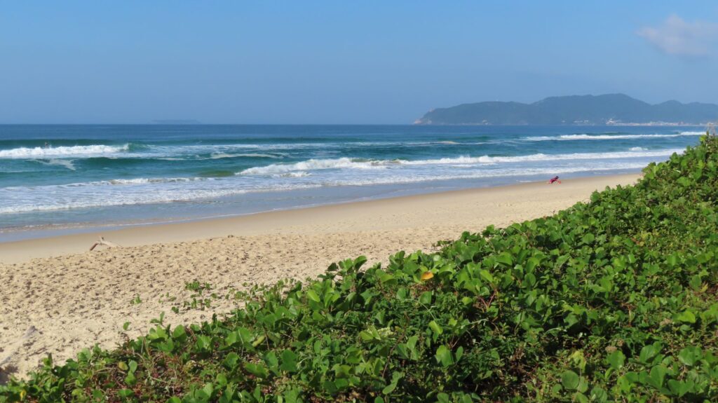 Moçambique em Florianópolis — foto 3