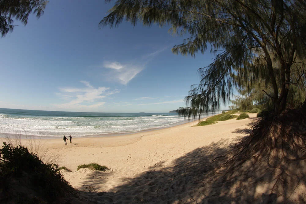 Muquém em Florianópolis — foto 4