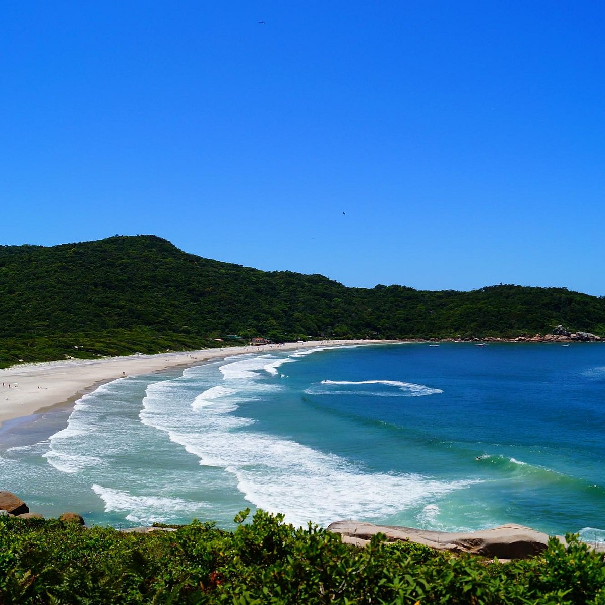 Naufragados em Florianópolis — foto 1