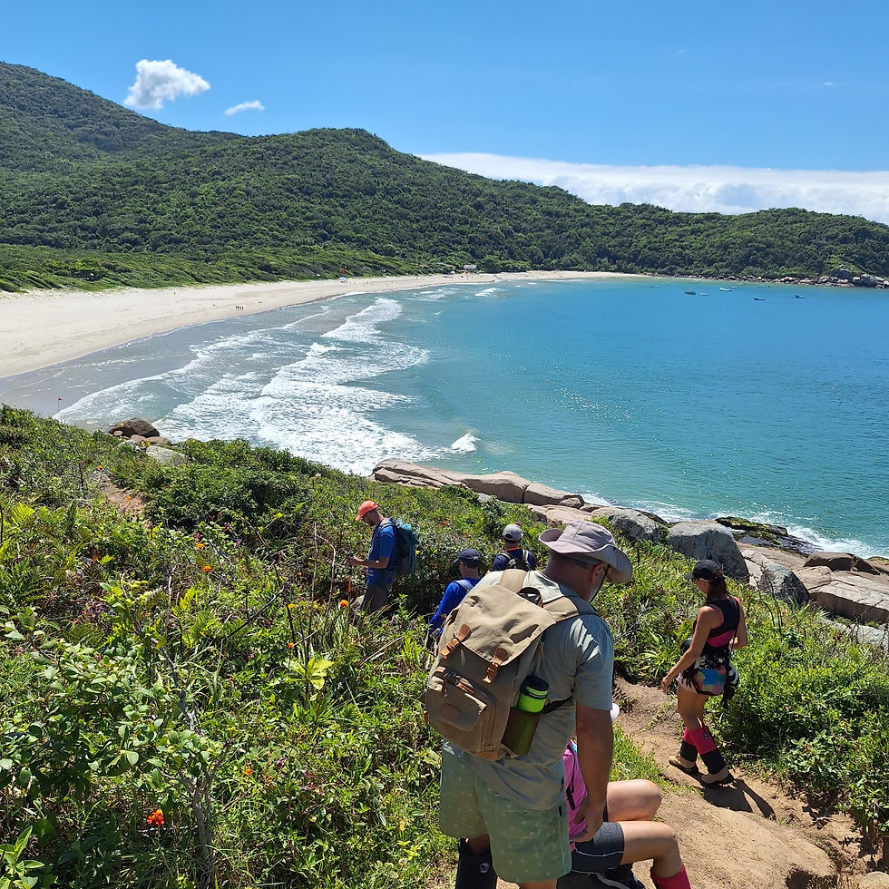 Naufragados em Florianópolis — foto 4