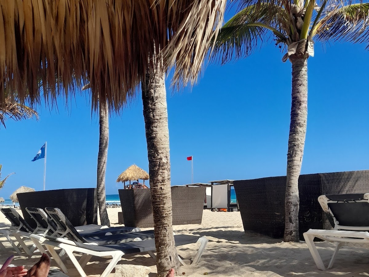 QI Travel em Florianópolis — foto 2