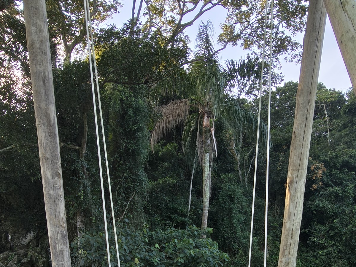 Rancho Ribeirão em Florianópolis — foto 2