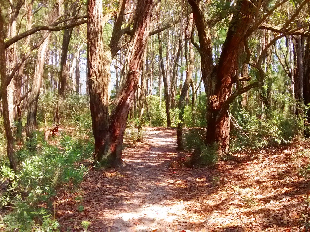 Recanto do Moçambique em Florianópolis — foto 3