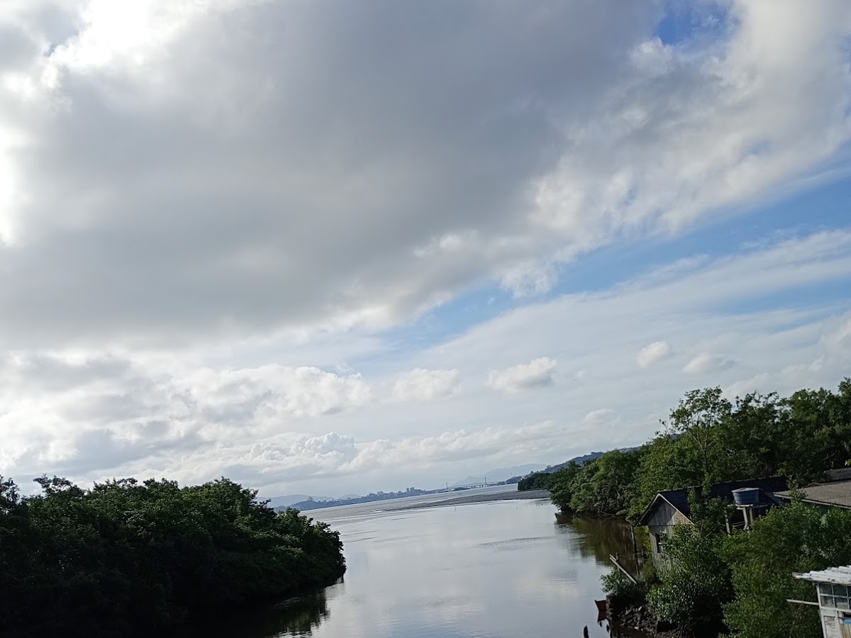 Reserva Extrativista Marinha do Pirajubaé em Florianópolis — foto 2