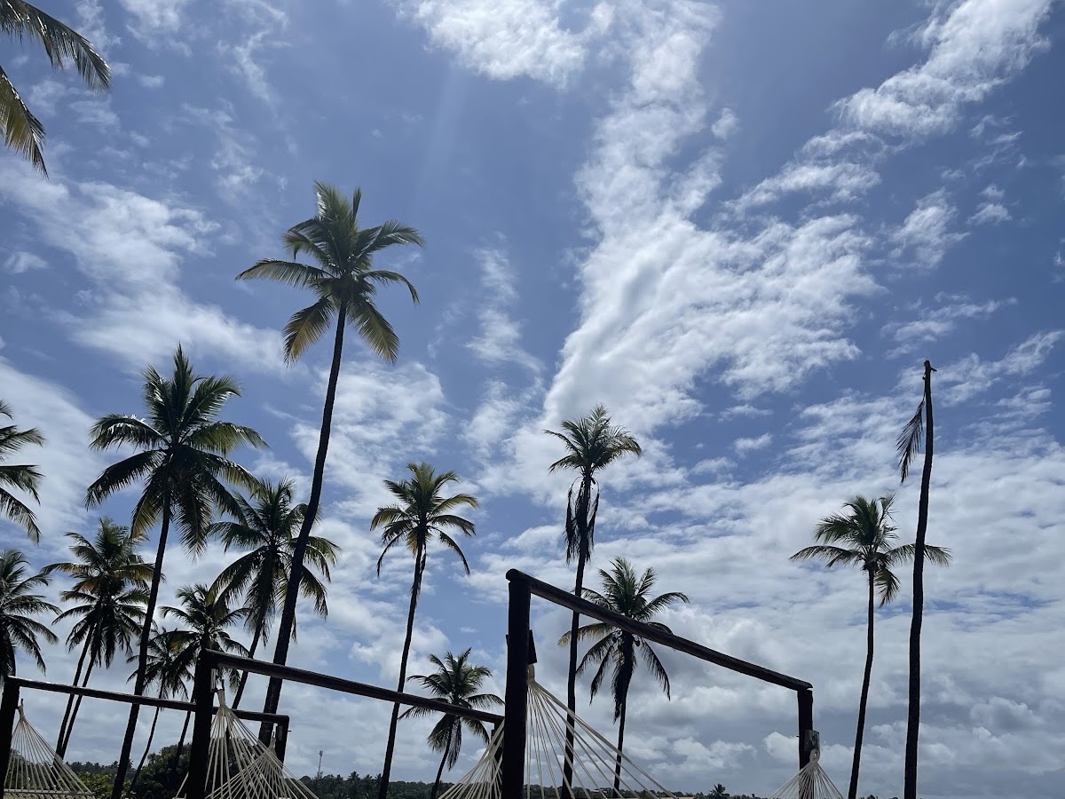 Reserva Viagens - Agência de Viagens em Florianópolis — foto 3