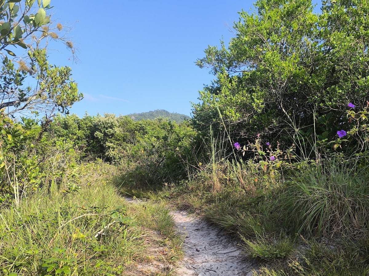 Rio Tavares em Florianópolis — foto 4