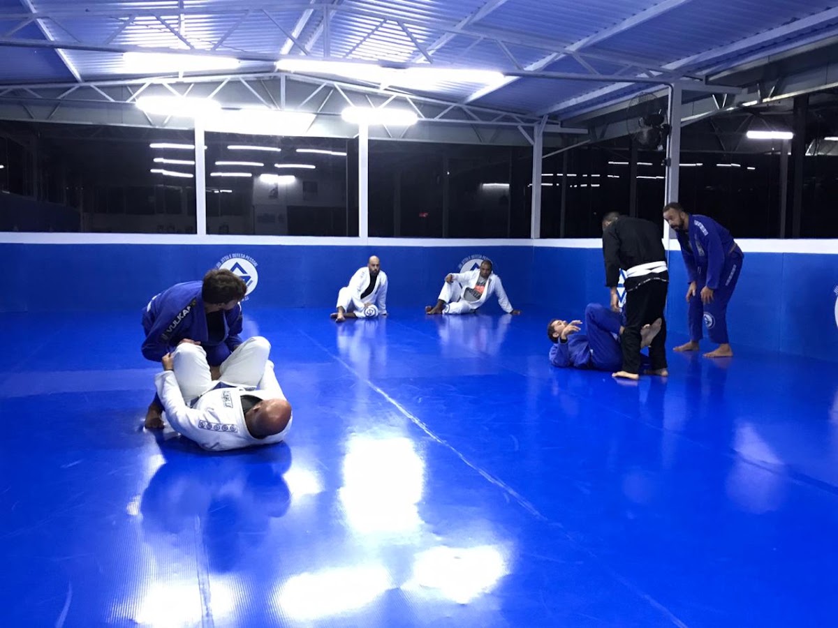 Logo Saldanha Jiu Jitsu Centro