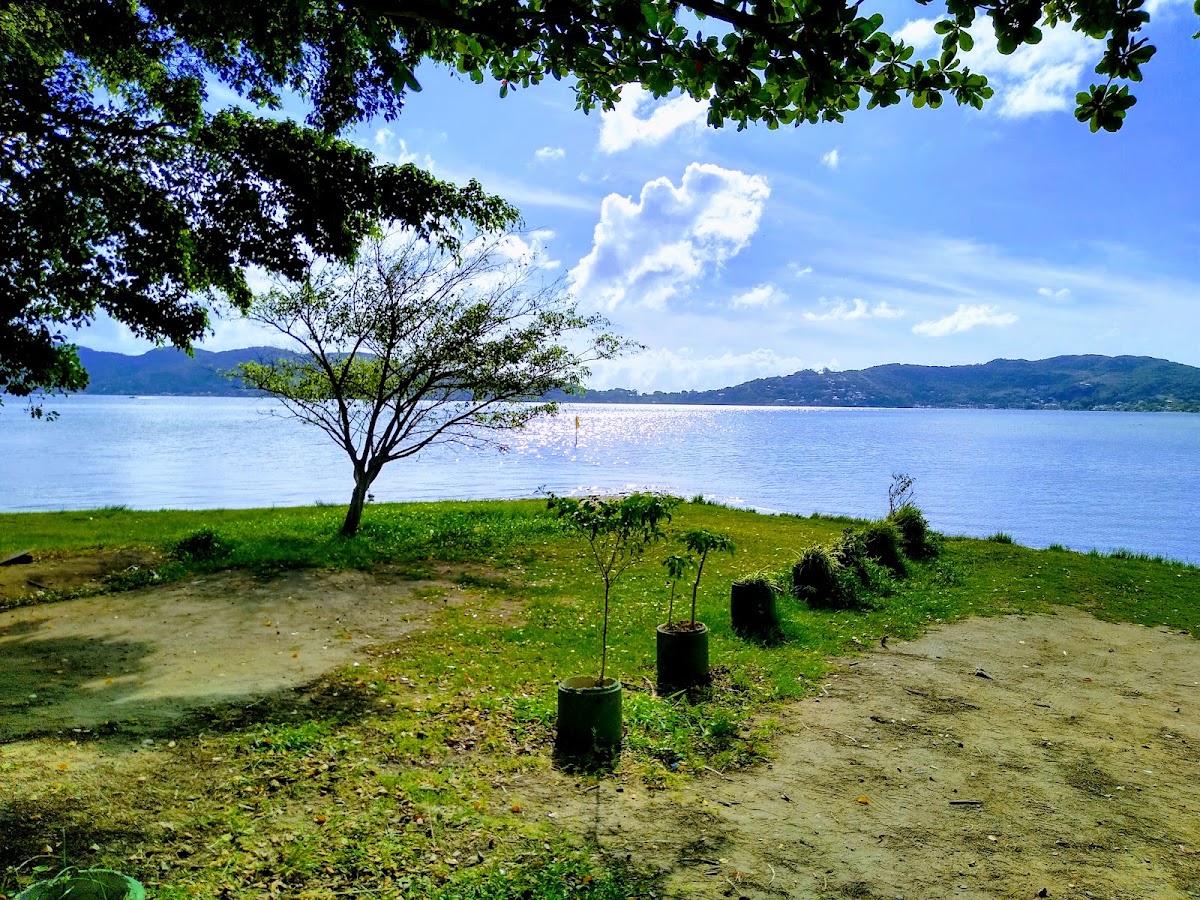 Sambaqui da Ponta das Almas em Florianópolis — foto 3