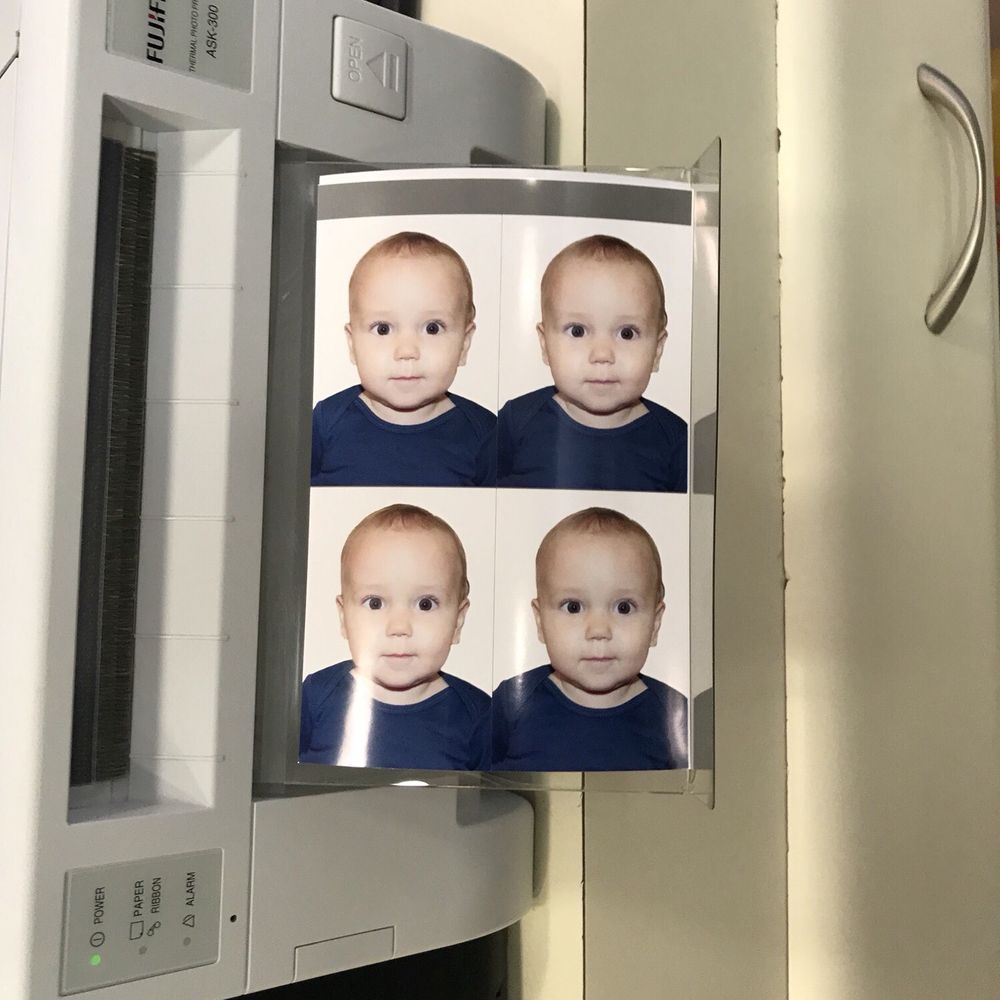 Sena Distribuidora Material Fotográfico em Florianópolis — foto 3