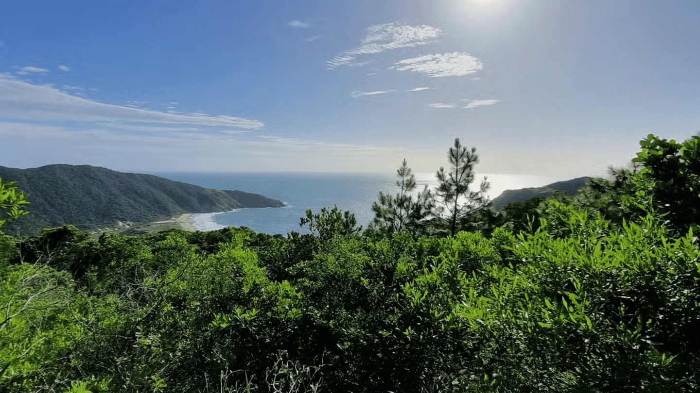 Senderismo al amanecer por el Parque Natural Lagoinha do Leste en Florianópolis em Florianópolis — foto 3