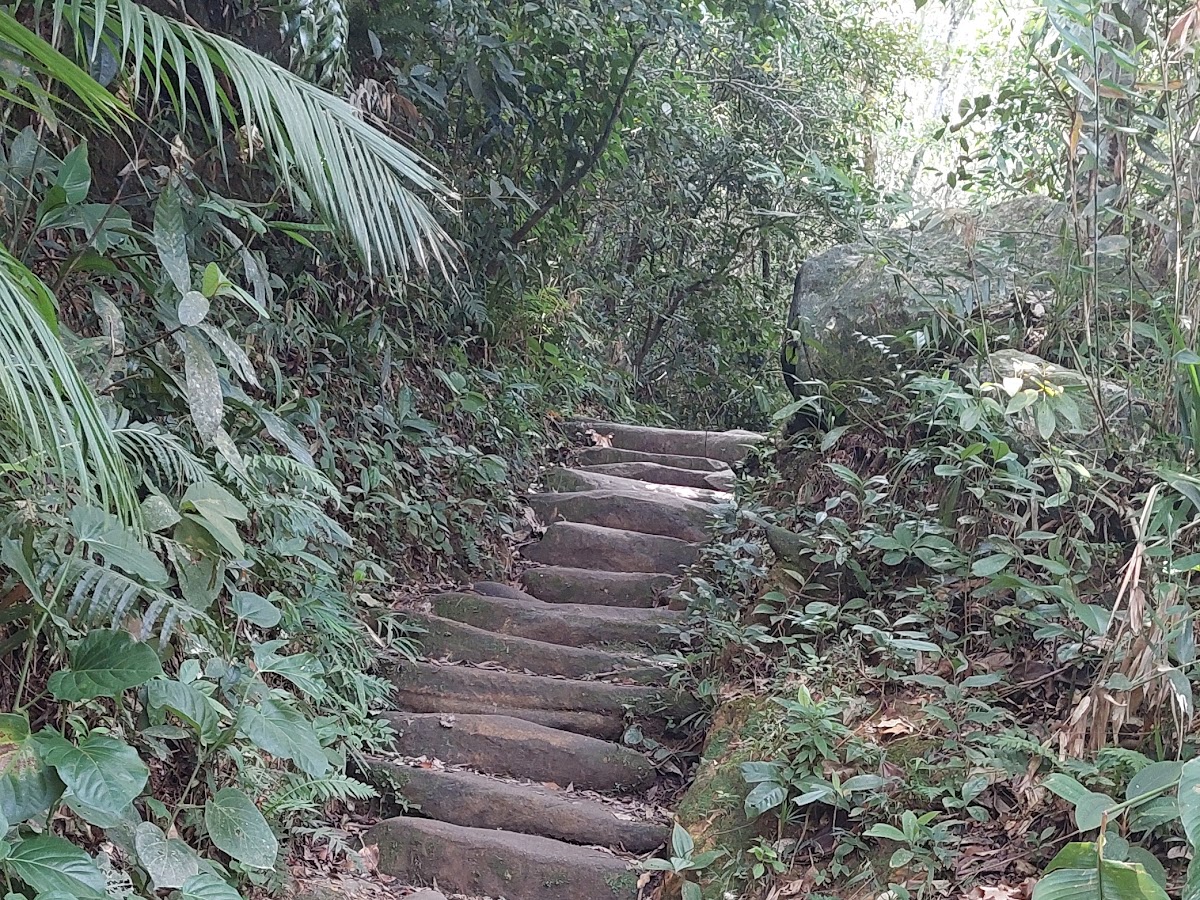 Senderismo por el Parque Natural Lagoinha do Leste Florianápolis en español em Florianópolis — foto 2