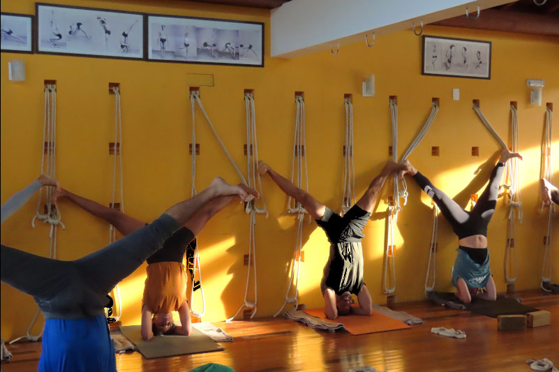 Solar Iyengar Yoga em Florianópolis — foto 2