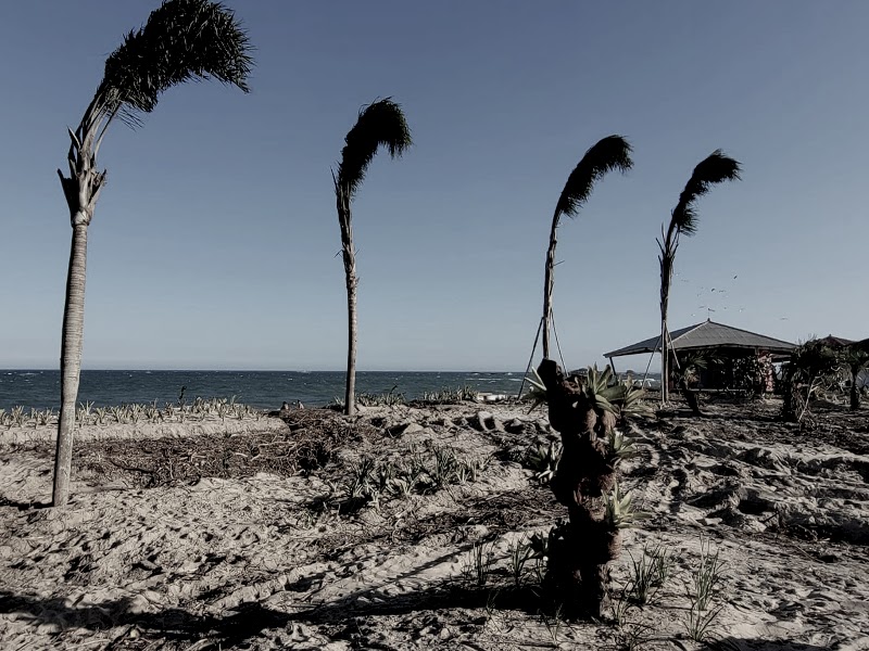 SOS Restinga em Florianópolis — foto 1