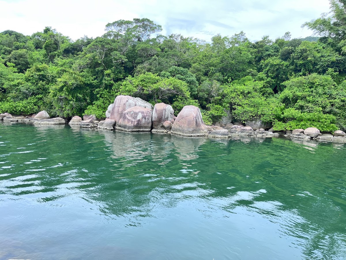 Logo Tartaruga da Barra da Lagoa/SC