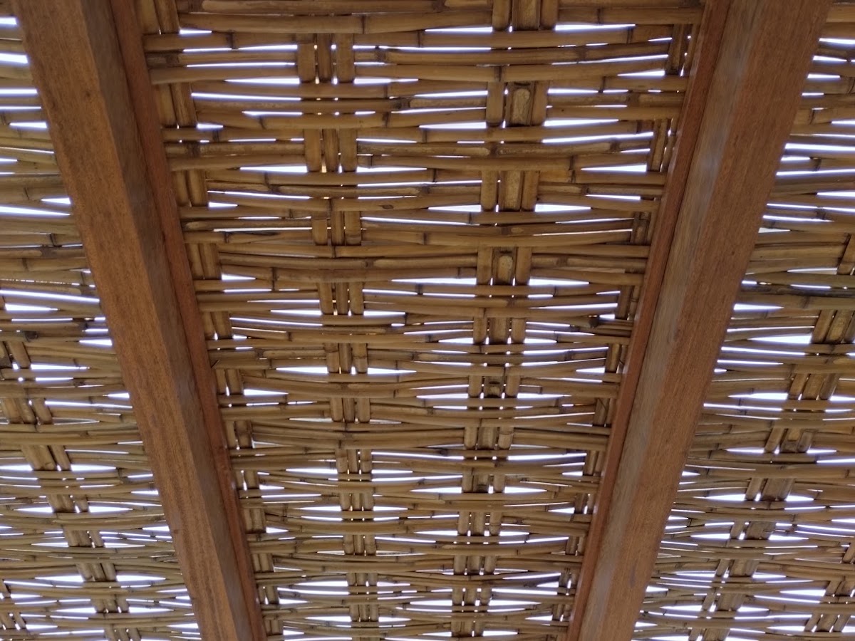 Foto da Tássio Vasconcelos - Soluções em bambu e madeira