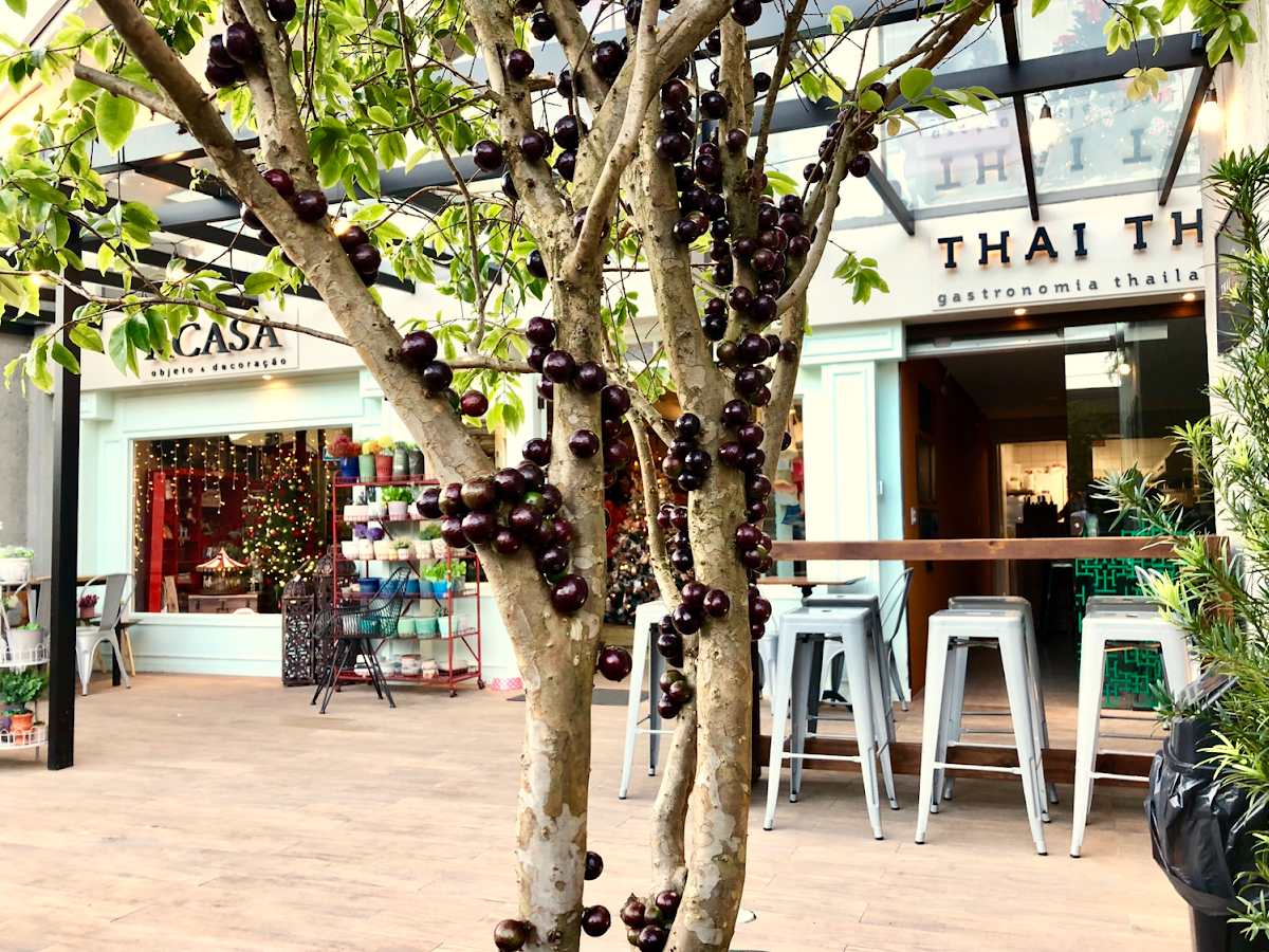 Thai Thai Gastronomia Thailandesa em Florianópolis — foto 2