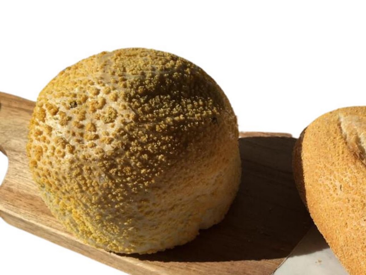 Thais Pães | Indústria de Pães em Florianópolis — foto 4