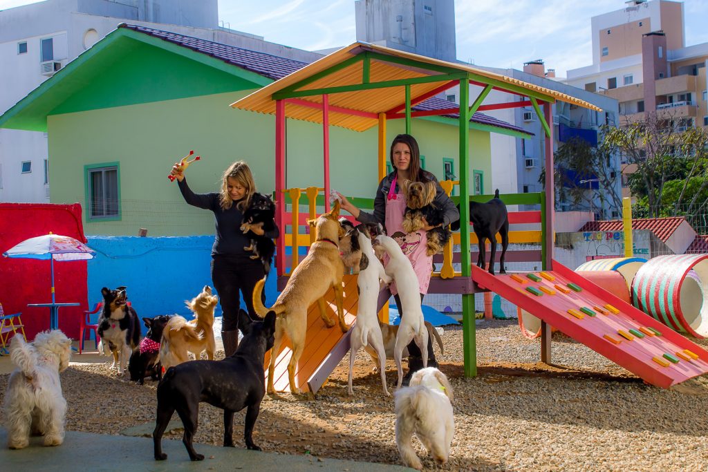 Tia Pet Dog Creche e Hospedagem em Florianópolis — foto 2