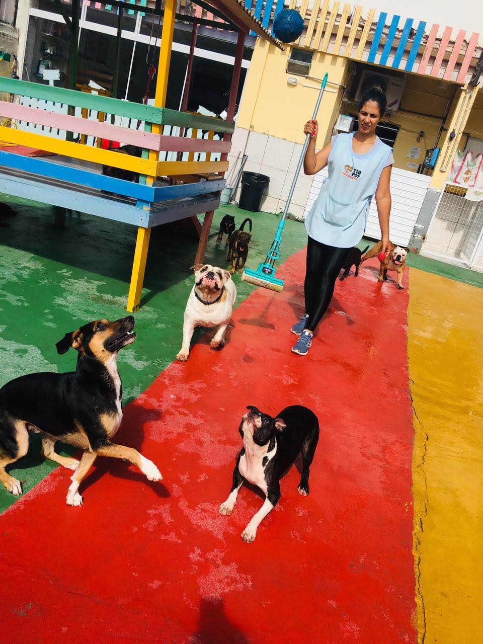 Tia Pet Dog Creche e Hospedagem em Florianópolis — foto 3