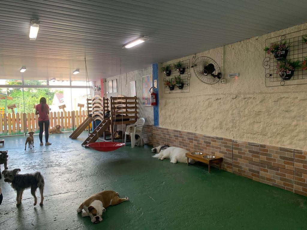Tia Pet Dog Creche e Hospedagem em Florianópolis — foto 4