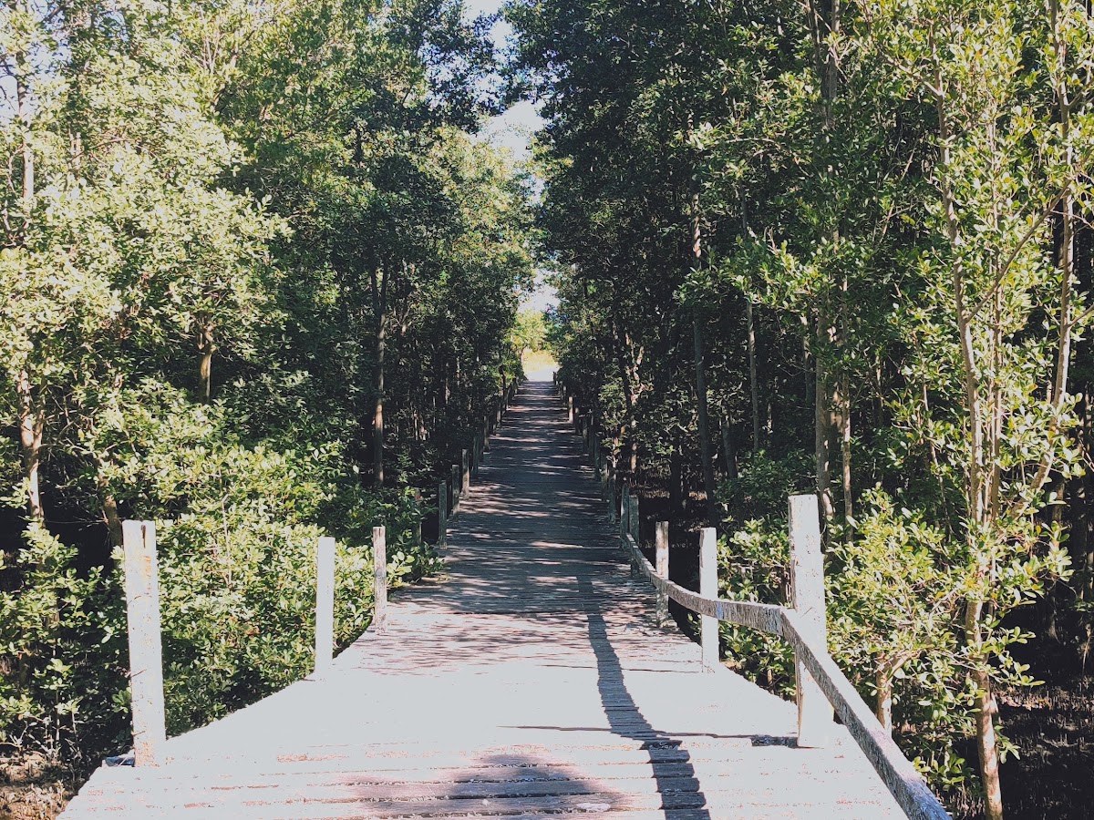Trapiche da Estimoarte em Florianópolis — foto 3